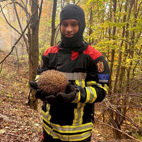 Ariciul Sonic, salvat dintr-un incendiu de vegetaţie/ IGSU: Ceea ce pentru noi pare doar vegetaţie uscată poate fi, pentru animalele sălbatice, un adevărat refugiu. Înainte să aprindeţi focul, priviţi şi din perspectiva celor care nu se pot salva singuri