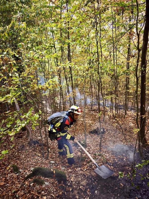 Noi intervenţii pentru stingerea incendiilor din Parcul Naţional Domogled, unde peste o mie de hectare sunt afectate de flăcări  şi din zona staţiunii Băile Olăneşti

