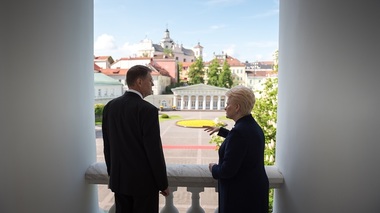 Iohannis: Există un potenţial important de colaborare cu Lituania în turism, IT, agricultură, comerţ şi energie