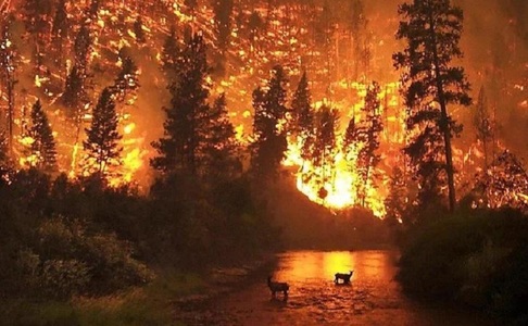 Vizita preşedintelui Iohannis în Portugalia, amânată din cauza incendiilor puternice din această ţară