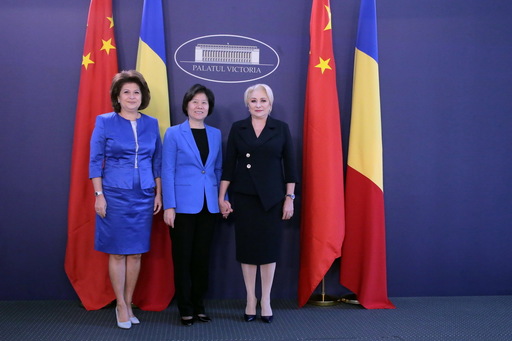 Premierul Dăncilă s-a întâlnit cu vicepreşedintele Adunării Naţionale Populare din China