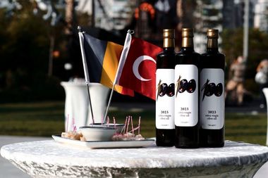 Cadou inedit oferit de Consulatul României la Izmir, cu ocazia centenarului proclamării Republicii Turcia -  FOTO
