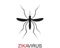 Medicii francezi avertizează că virusul Zika poate provoca o formă de paralizie ce poate fi fatală