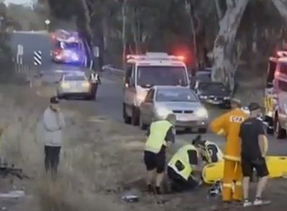Şapte ciclişti răniţi după ce au lovit cadavrul unui cangur în Australia. VIDEO