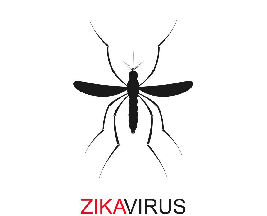 Virusul Zika ar fi fost adus în Brazilia de fanii echipei de fotbal din Polinezia Franceză, la Cupa Confederaţiilor