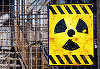 Lideri din 50 de ţări, inclusiv România, participă joi şi vineri la summitul pentru securitate nucleară de la Washington