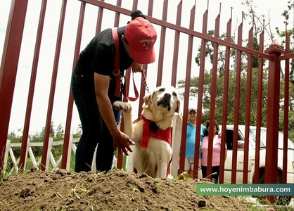 Un câine erou care a salvat şapte oameni după cutremurul din Ecuador a murit de epuizare. FOTO