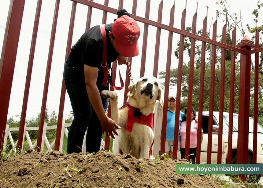 Un câine erou care a salvat şapte oameni după cutremurul din Ecuador a murit de epuizare. FOTO