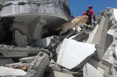 Seismul din Ecuador s-a soldat cu un mort şi 85 de răniţi