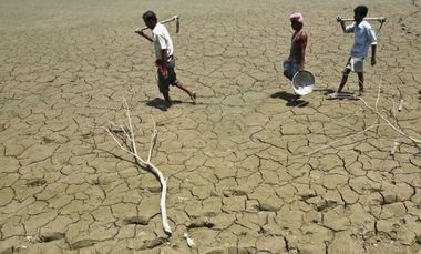 Temperaturi record de 51 de grade Celsius înregistrate în nord-vestul Indiei