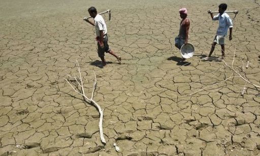 Temperaturi record de 51 de grade Celsius înregistrate în nord-vestul Indiei