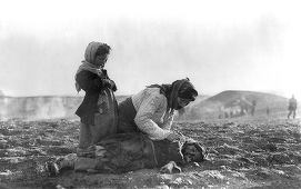 Parlamentul german a recunoscut Genocidul armean