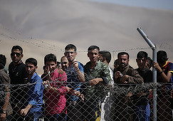 În total 499 de extremişti islamişti din Germania reprezintă o ameninţare la adresa securităţii ţării