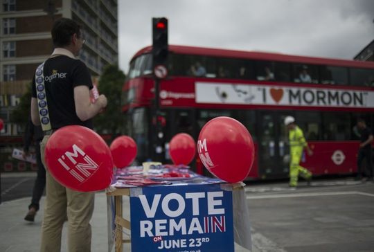 Vot Brexit (Foto: Bogdan Maran)