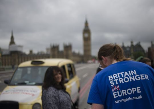 Vot Brexit (Foto: Bogdan Maran)