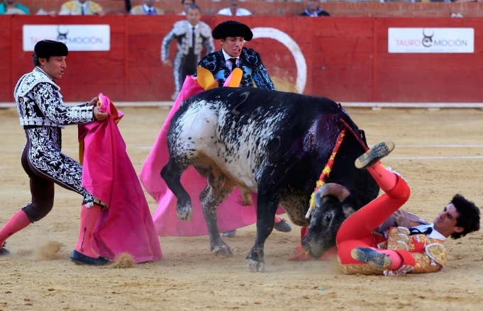 Spania: Un matador a fost ucis de un taur într-o coridă din estul ţării