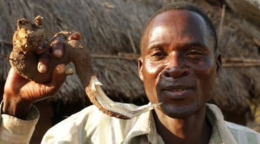 Malawi: Autorităţile au arestat un bărbat, după ce a fost plătit să întreţină relaţii sexuale cu peste 100 de adolescente