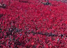 Circa un milion de turci s-au strâns la Istanbul, la apelul lui Erdogan, pentru a denunţa tentativa de lovitură de stat - VIDEO