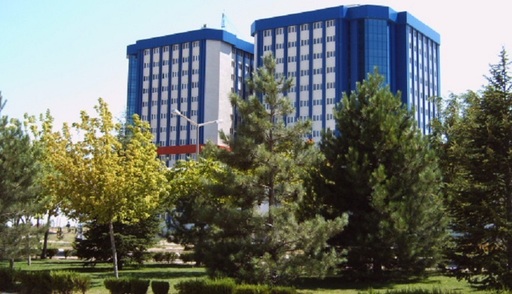 Parchetul turc a emis mandate de arestare pe numele a 84 de universitari, pentru presupuse legături cu Gülen