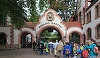 Doi lei au scăpat din cuşti în Grădina Zoologică din Leipzig