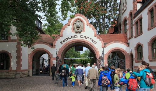 Doi lei au scăpat din cuşti în Grădina Zoologică din Leipzig