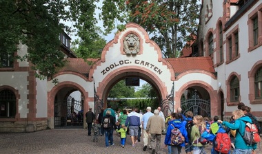 Cei doi lei scăpaţi de la grădina zoologică din Leipzig au fost prinşi