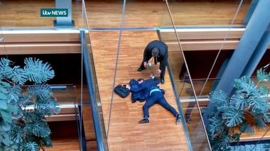 Parlamentul European a sesizat justiţia franceză în legătură cu altercaţia dintre membrii UKIP, în urma căruia Woolfe a fost internat