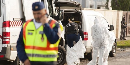 Douăsprezece persoane arestate în Ungaria, într-o vastă operaţiune vizând o organizaţie neonazistă, după uciderea unui poliţist