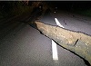 Seismul din Noua Zeelandă a făcut ca cele două insule principale ale ţării să se apropie; seismologii avertizează că sunt aşteptate noi cutremure puternice