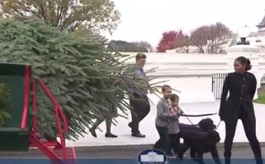 Michelle Obama a primit bradul de Crăciun de la Casa Albă