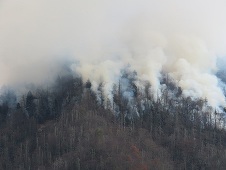 Incendii de vegetaţie de proporţii în Tennessee; circa 100 de proprietăţi avariate sau distruse