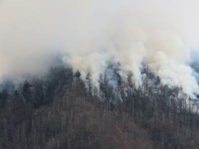 Incendii de vegetaţie de proporţii în Tennessee; circa 100 de proprietăţi avariate sau distruse