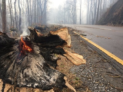 Trei morţi şi 14.000 de evacuaţi în urma incendiilor de vegetaţie din Tennessee