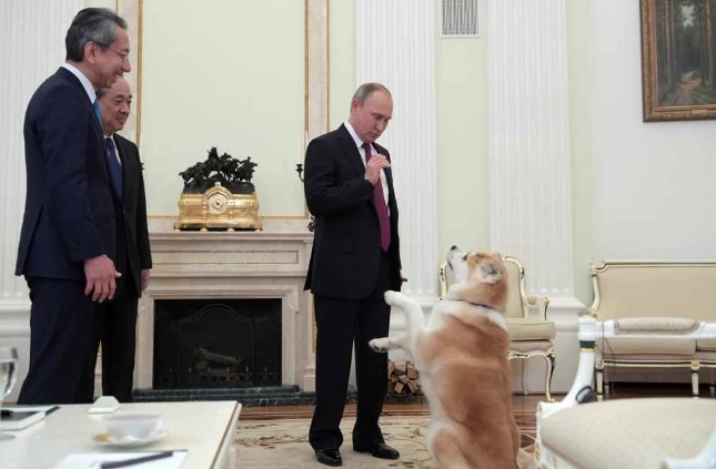 Câinele Yume al lui Vladimir Putin a reuşit să sperie doi jurnalişti japonezi, după ce a lătrat puternic într-un interviu - VIDEO