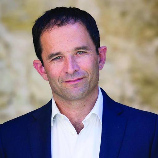 Franţa: Primele rezultate parţiale ale alegerilor primare socialiste indică victoria lui Benoit Hamon