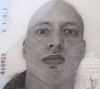 Poliţia spaniolă l-a identificat pe bărbatul arestat pentru că se îndrepta cu un camion cu butelii în centrul Barcelonei drept Robin Berggren, în vârstă de 33 de ani