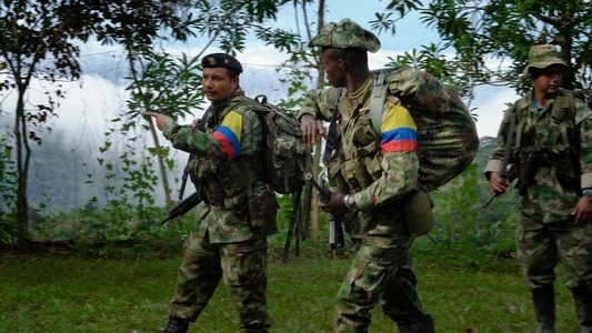 Membri FARC încep miercuri să depună armele 