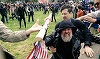 Zi de mitinguri pro-Trump marcată de violenţe la Berkeley, în California