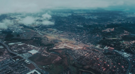 Autorităţile neozeelandeze au împuşcat mortal un câine, după ce a întârziat decolarea avioanelor pe aeroportul Auckland