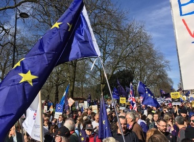 Mii de persoane au mărşăluit pe străzile londoneze împotriva ieşirii Marii Britanii din UE