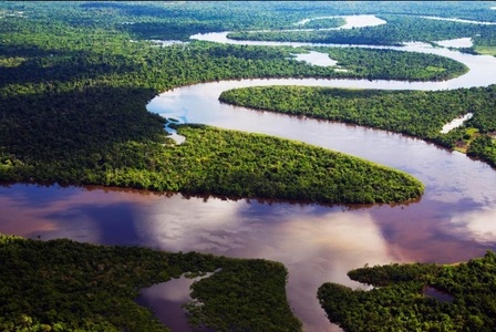 Un trib brazilian va primi compensaţii în valoare de 1,3 milioane de dolari după prăbuşirea unui avion în Pădurea Amazoniană