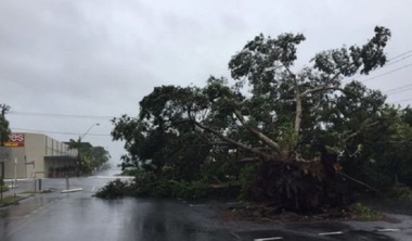 Ciclonul Debbie a lăsat zeci de mii de locuinţe fără electricitate şi a provocat pagube importante în Australia