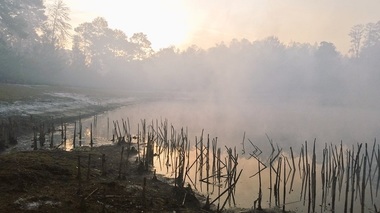 Autorităţile din Florida au declarat stare de urgenţă, din cauza incendiilor de vegetaţie. VIDEO