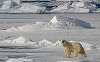 Moscova obiectează faţă de o reuniune a Adunării Parlamentare a NATO în arhipelagul Svalbard