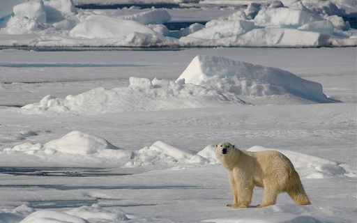 Moscova obiectează faţă de o reuniune a Adunării Parlamentare a NATO în arhipelagul Svalbard
