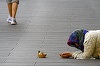 Val de revoltă după ce o investigaţie a dezvăluit cum cerşetoarele românce devin prostituate în timpul nopţii în Norvegia