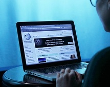 Turcia: Wikipedia blocată pentru mai multe articole, în care executivul turc este acuzat de sprijinirea terorismului