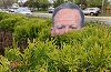 Decoraţiunea pentru tufişuri "Spicer de grădină" face furori pe internet, după reacţia purtătorului de cuvânt al Casei Albe la demiterea şefului FBI