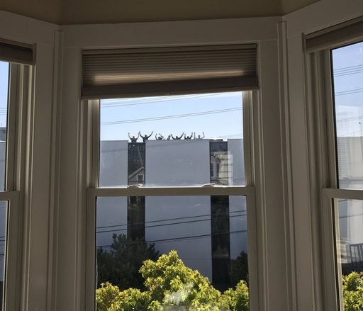 Bilanţul atacului de la San Francisco a crescut la patru morţi, inclusiv atacatorul