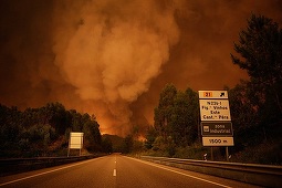 UPDATE - Incendii puternice de pădure în centrul Portugaliei. 62 de oameni au murit, alţi aproape 60 au fost răniţi. Mai multe localităţi au fost evacuate, iar sute de pompieri intervin pentru stingerea focului VIDEO